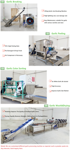 Komple Set endüstriyel sarımsak soyma makinesi endüstriyel sarımsak soyma sıralama makinesi üretim hattı - Product Image 2