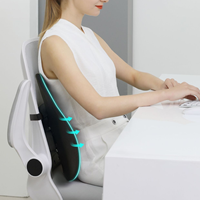 Coussin de soutien du dos de bureau ergonomique Repose-lit de lecture lombaire et personnalisé réglable pour une utilisation au bureau