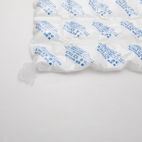 Sac isotherme personnalisé en gel réfrigérant de grande taille pour aliments