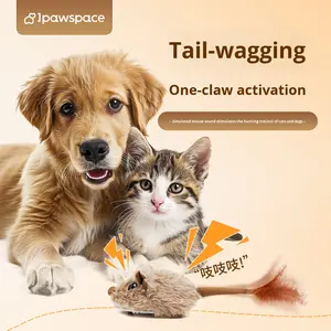 Eco-Friendly Automatic <strong>Dog</strong> <strong>Walker</strong> Plastic Electric <strong>Toy</strong> for Pet Puppy Bichon Teddy Universal for <strong>Dog</strong> and Cat Order with One Click - Product Image 3