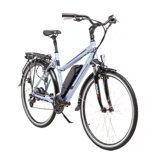 Hot Sell Aluminum Alloy Frame Shimano Shifters Electric Bike Bicycle 36V City Ebike