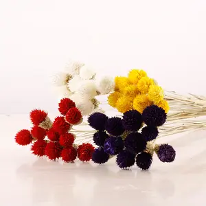 Yunnan Dried Flowers Colorful Strawberry Fruit Floral Arrangements Bouquets Material Dry Flowers Decorations
