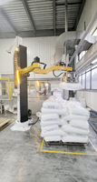 Robot de palettisation robuste à 4 axes de type colonne pour sacs tissés en PP, avec pince à fourches pour sacs en polypropylène