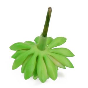 Planta Artificial Decorativa en Miniatura, Adornos de Techo con Vegetación Artificial de Otoño, Suculentas Raras para Cocheras - Product Image 3
