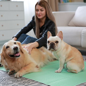 Прямая поставка с завода, моющиеся подушечки для домашних животных, небольшой минимальный объем продаж, быстрая доставка, многоразовые подушечки для мочи домашних животных - Product Image 1