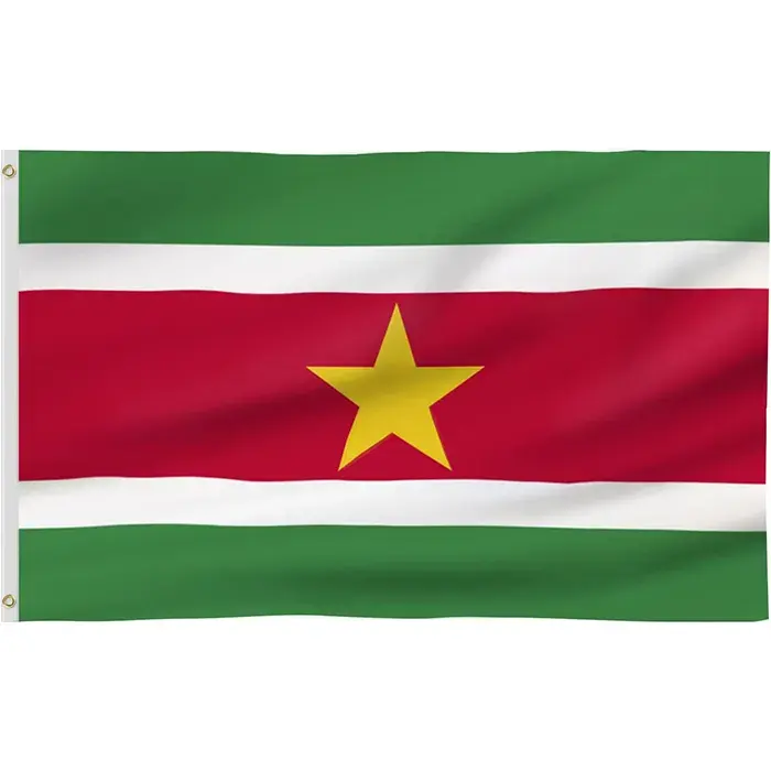 Estructura firme Calidad Cantidad asegurada Poliéster finamente procesado 3x5 Bandera al aire libre Bandera de Surinam Banderas a la venta