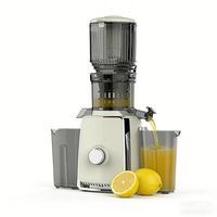 Presse-agrumes commercial pour l'exportation en gros – Extracteur de jus d'orange et de citron