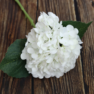Flor de cabeza grande de hortensia de látex de tacto Real artificial de alta calidad al <span class=keywords><strong>por</strong></span> mayor para decoración de bodas - Product Image 6