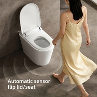 Toilette intelligente en céramique, matériaux écologiques, solution de salle de bain de luxe, service OEM ODM, articles sanitaires en céramique