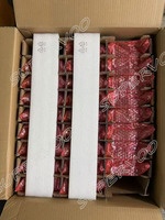 Carte graphique GPU T1000 4 Go GDDR6