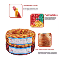 Câble torsadé en cuivre pur PVC 12 AWG 300V ignifuge NH-RVS, 2 conducteurs, 1 plat 2,5 mm² - Vente en gros usine Jinwancheng