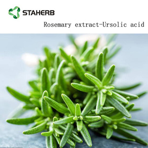สารสกัดจากโรสแมรี่สารสกัดจากเลมอนบาล์ม rosminic Acid - Product Image 4