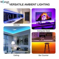 Kit de bande lumineuse LED intelligente flexible WS2812B RGB 12V/24V SMD5050 avec synchronisation musicale Wi-Fi et Bluetooth, ruban à changement de couleur IP20
