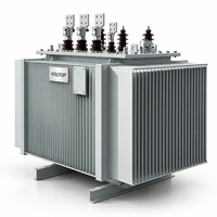 Transformateur de distribution immergé dans l'huile de 1600 kVA pour réseau électrique industriel