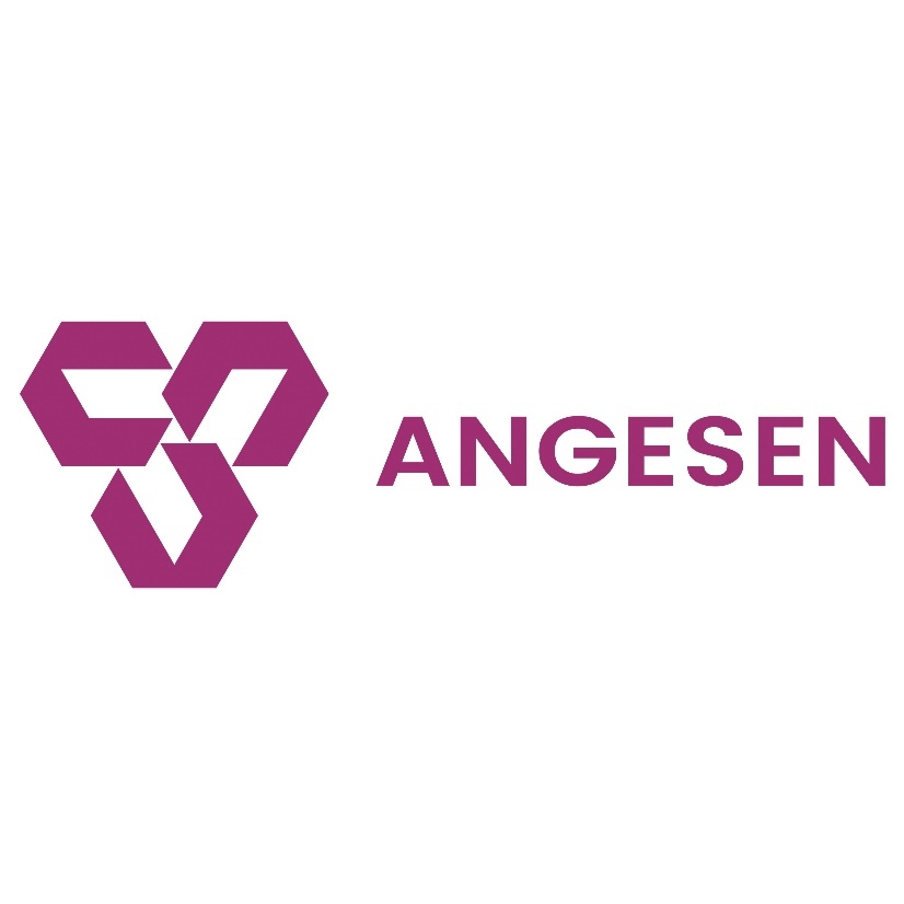 Angesen (anhui) New Materials Co., Ltd. logo