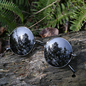 Jamie 907 Round Metal Sunglasses Polarized UV400 Unisex Fashion Shades - Product Image 1