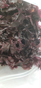 Dulce de algas naturales para comida, vegetales de mar - Product Image 3