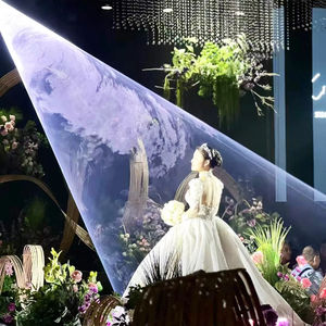 RGB Animación Boda Laser Show Beam IP65 Disco Stage DJ Luces láser DMX512 Modo de control Máquina de nieve para proyector de boda - Product Image 1