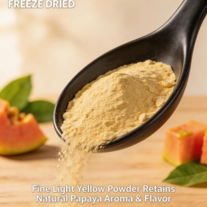 Сублимированный порошок папайи <span class=keywords><strong>100</strong></span>% чистый, без добавок, пищевой, богатый ферментами, водорастворимый, оптом для здорового питания, напитков, экспорта - Product Image 2