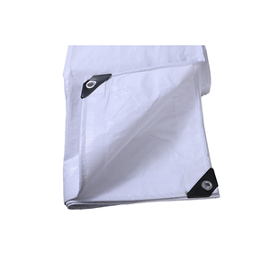 Bâche PE imperméable à la pluie extérieur jardin plante hangar bateau voiture camion auvent étanche couverture pour animaux de compagnie bâche feuille - Product Image 6