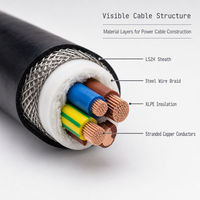 Câble d'alimentation en cuivre blindé à tresse métallique isolé XLPE LSZH basse tension 0,6/1 kV pour la distribution industrielle souterraine