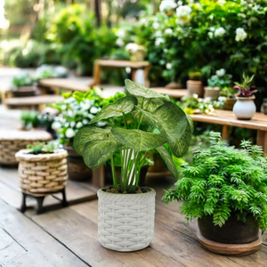 Ensemble de petits pots artificiels en céramique émaillée de style européen avec mini plantes en pot pour la décoration de sol de jardin de table de bureau de <span class=keywords><strong>maison</strong></span> - Product Image 5