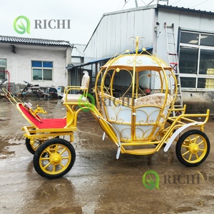 Calèche royale à chevaux en forme de citrouille, design exquis, calèche de haute qualité à vendre pour <span class=keywords><strong>location</strong></span> panoramique et mariages - Product Image 3