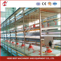 Cage automatique de type H pour poulets et poulettes, pour 25 000 oiseaux, ferme au Nigeria