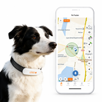 Traceur GPS pour animaux de compagnie, collier traceur GPS 4G pour chiens et chats, étanche IP67, localisation en temps réel, clôture virtuelle, longue durée de vie de la batterie