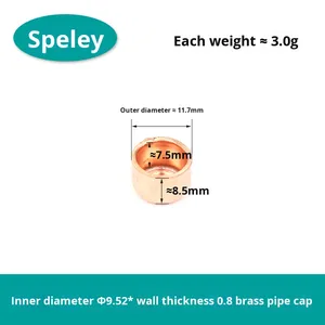 Đồng cắm ống nắp áp suất thấp con dấu nắp mù cho hàn nước 10 ~ 108mm phẳng Miệng cắm Nắp - Product Image 6