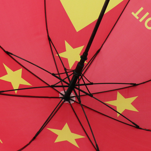 Chất lượng cao tùy chỉnh in tất cả các mùa thời trang bão tự động mở ra tigray CỜ Ô cho hoạt động ngoài trời - Product Image 4