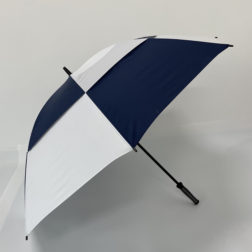 Bleu et blanc