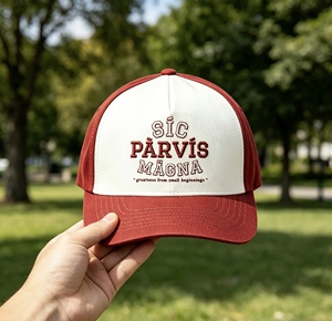 Gorra de Béisbol Bordada Personalizada, Estilo Hip Hop, Talla Ajustable, Gorras de Alta Calidad de Marca - Product Image 5