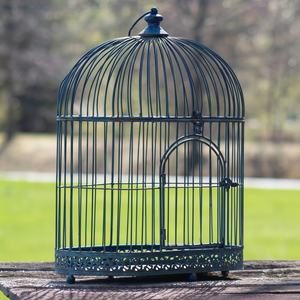 กรงนกลวดเหล็กสีฟ้าพร้อมกรงนกทรงกลมสำหรับตกแต่งบ้านและสวน - Product Image 1