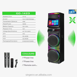 Altoparlante DJ con Doppio Woofer da 12 Pollici, Schermo Display, Grande Potenza TWS, Microfono Wireless GD-1423 - Product Image 5