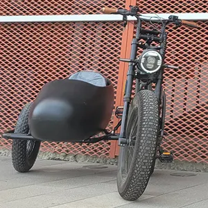 COSWHEEL CT20 EBIKE तीन पहिया पेडल की सहायता के साथ 48V 750W इलेक्ट्रिक वसा टायर Tricycle मादक द्रव्य ले जाने के लिए पालतू जानवर मादक द्रव्य मोटरसाइकिल