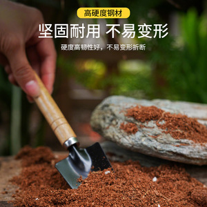 Pelle de jardin AireShield, manche en bois, légère, pour creuser, planter, outils de jardinage - Product Image 4