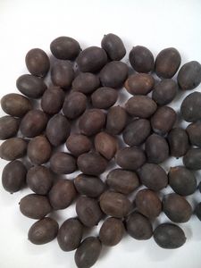 GRAINES DE LOTUS NOIR PRIX BAS GRAINES DE LOTUS - Product Image 2
