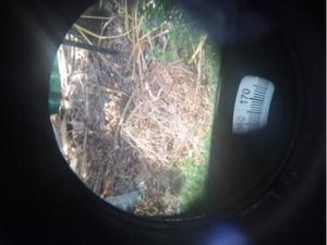 Binoculares BAK4 de Alta Calidad 7x50 con Brújula Integrada - Product Image 5