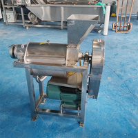 Industriële spiraalvormige volautomatische fruitpers-pulpseparator 380V 1500W voor blauwe bessen en drakenvruchten met 1 jaar garantie