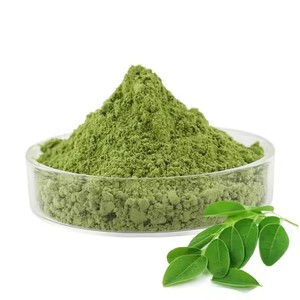 モリンガパウダーモリンガリーフエキス粉末有機高純水溶性モリンガオレイフェラパウダー - Product Image 2