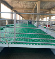 Plancher à lattes en PP haute résistance Zhongxing, résistant à la corrosion, facile à nettoyer, équipement pour élevages porcins, taille personnalisée disponible