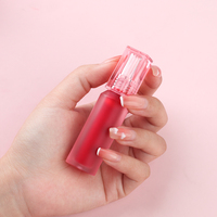 6 couleurs, gloss à lèvres mat à base d'eau, longue tenue, imperméable, fournisseur de rouge à lèvres liquide de luxe