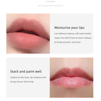 Nouveau soin des lèvres hydratant longue durée, crème éclaircissante pour les lèvres vegan, rouge à lèvres incolore avec formule imperméable longue durée 24 heures