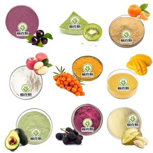 Commercio all'ingrosso biologico succo di frutta in polvere per uso alimentare 100% naturale frutta secca in polvere - Product Image 2