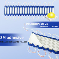 Module lumineux LED en plastique étanche LiuHJG pour la décoration et les enseignes publicitaires extérieures