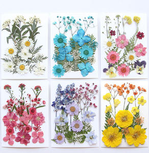 ชุดดอกไม้แห้งผสมธรรมชาติ กลีบดอก ใบไม้ และตัวอย่างพืชสำหรับงานเรซิ่น งานทำเทียน และสบู่ - Product Image 6