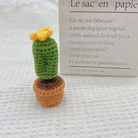 Cactus en crochet fait main, plante en pot, succulente tricotée, ornement de bureau, amigurumi, décoration d'intérieur, en stock