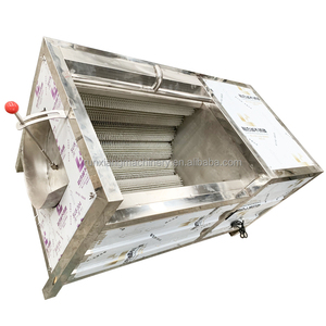 Lavadora automática de cepillo para frutas y verduras para limpiar remolacha, ñame, taro, batata, componente de Motor de núcleo - Product Image 3