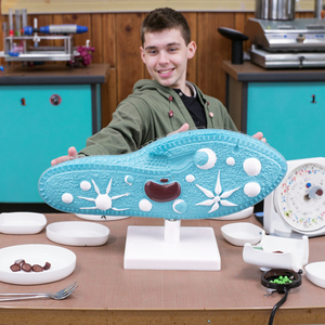 Modello di <span class=keywords><strong>cellula</strong></span> del paramecio di insegnamento della biologia 3D con il nuovo materiale plastico dei capelli - Product Image 6